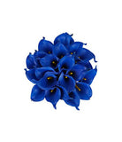 blue adenium plant