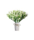 White Rose