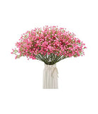 blue adenium plant