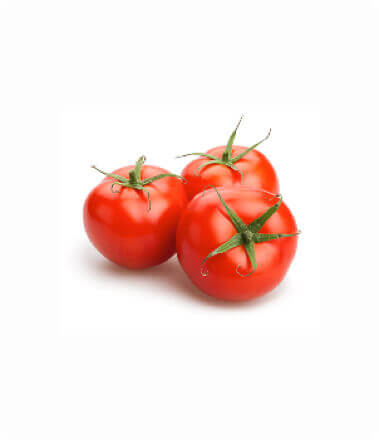 Solanum lycopersicum